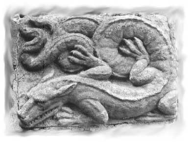Dragon from Coburg